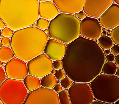 Oregano Oil