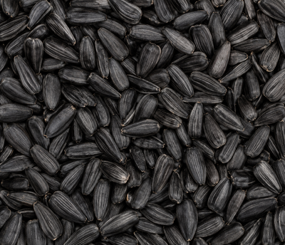 Black Seed Oil